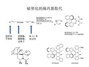 Trost B M J Am Chem Soc 1998