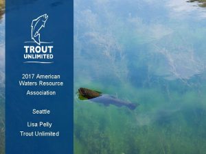 2017 American Waters Resource Association Seattle Lisa Pelly