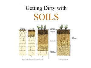 Getting Dirty with SOILS Older than dirt JMU