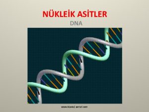 NKLEK ASTLER DNA www biyoloji portali com NKLEK