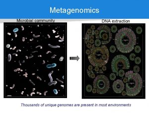 Metagenomics Microbial community DNA extraction Thousands of unique