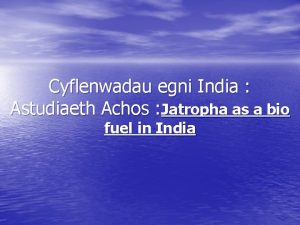 Cyflenwadau egni India Astudiaeth Achos Jatropha as a