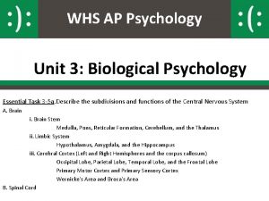 WHS AP Psychology Unit 3 Biological Psychology Essential