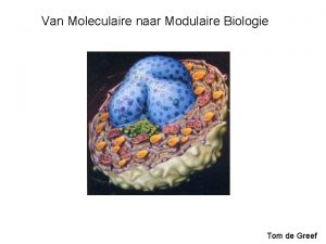 Van Moleculaire naar Modulaire Biologie Tom de Greef