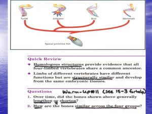 EVOLUTION SPECIATION VOCABULARY REVIEW EVOLUTION CHANGE OVER TIME