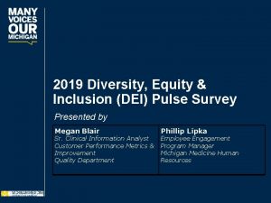 2019 Diversity Equity Inclusion DEI Pulse Survey Presented