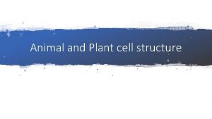 Animal and Plant cell structure Animal cell structure