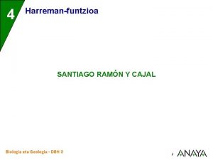 4 3 Harremanfuntzioa SANTIAGO RAMN Y CAJAL Biologia