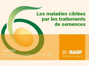 Les maladies cibles par les traitements de semences