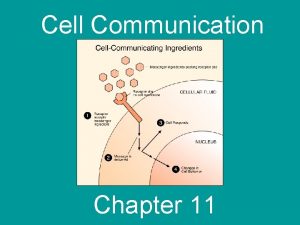 Cell Communication Chapter 11 Cells most often communicate