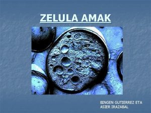 ZELULA AMAK BINGEN GUTIERREZ ETA ASIER IRAZABAL Sarrera