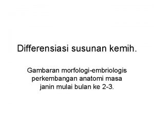 Differensiasi susunan kemih Gambaran morfologiembriologis perkembangan anatomi masa