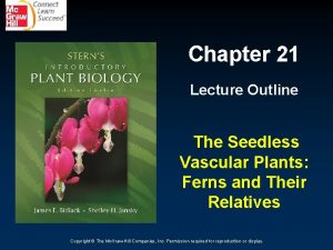 Chapter 21 Lecture Outline The Seedless Vascular Plants