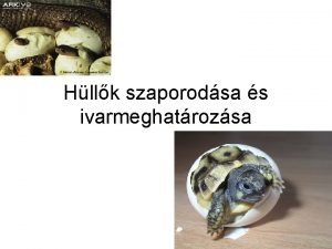 Hllk szaporodsa s ivarmeghatrozsa Szaporodsi mdok a hllknl