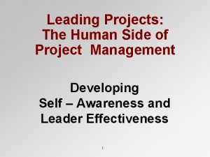 Leading Projects The Human Side of Project Management