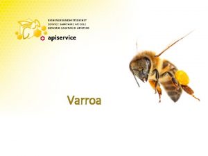 Varroa Gliederung 1 2 3 4 5 Definition