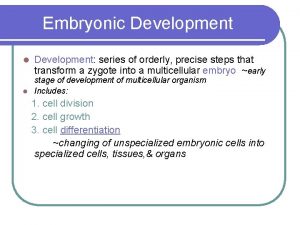 Embryonic Development l Development series of orderly precise