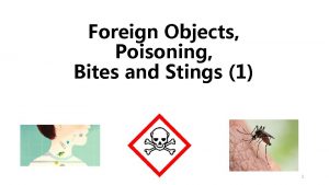 Foreign Objects Poisoning Bites and Stings 1 1