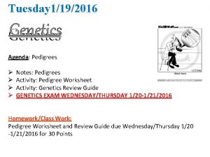 Tuesday 1192016 Genetics Agenda Pedigrees Notes Pedigrees Activity