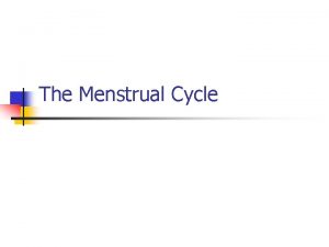 The Menstrual Cycle What is the menstrual cycle