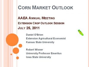 CORN MARKET OUTLOOK AAEA ANNUAL MEETING EXTENSION CROP