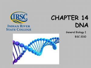 CHAPTER 14 DNA General Biology I BSC 2010