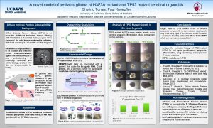 A novel model of pediatric glioma of H