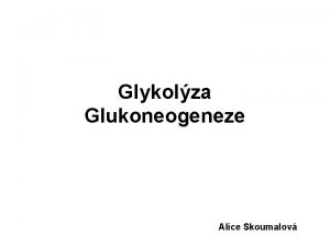 Glykolza Glukoneogeneze Alice Skoumalov 1 Glykolza Glukza Univerzln
