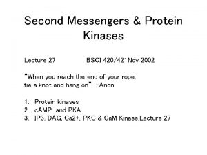 Second Messengers Protein Kinases Lecture 27 BSCI 420421