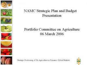 NAMC Strategic Plan and Budget Presentation Portfolio Committee