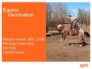Equine Vaccination Melanie Wowk BSc DVM Manager Veterinary