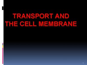TRANSPORT AND THE CELL MEMBRANE 1 Transport Involves