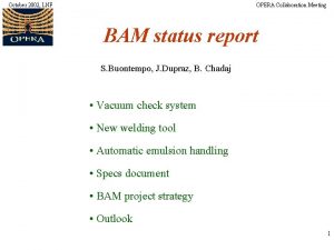 October 2002 LNF OPERA Collaboration Meeting BAM status