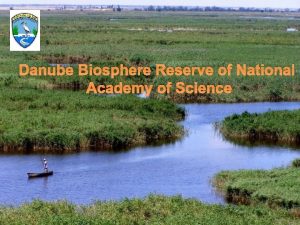 Danube Biosphere Reserve of National Academy of Science