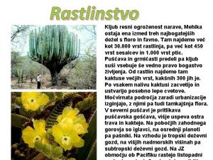 Rastlinstvo Kljub resni ogroenost narave Mehika ostaja ena