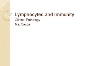 Lymphocytes and Immunity Clinical Pathology Ms Canga Reading