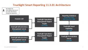 True Sight Smart Reporting 11 3 01 Architecture