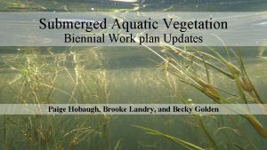 Submerged Aquatic Vegetation Biennial Work plan Updates Paige