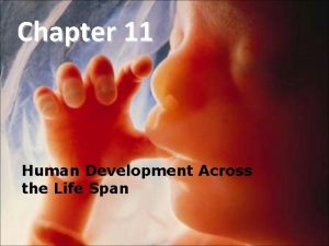 Chapter 11 Human Development Across the Life Span