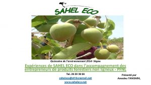 Quinzaine de lenvironnement 2014 Sgou Expriences de SAHEL