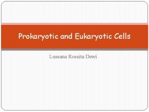 Prokaryotic and Eukaryotic Cells Lussana Rossita Dewi In