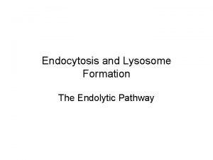 Endocytosis and Lysosome Formation The Endolytic Pathway Lysosomes