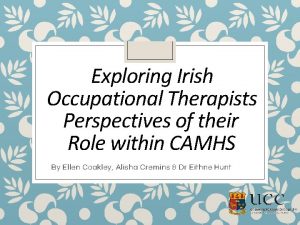 Exploring Irish Occupational Therapists Perspectives of their Role