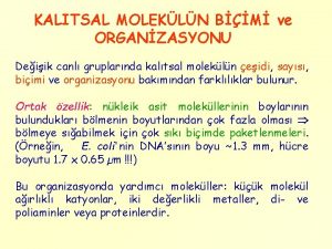 KALITSAL MOLEKLN BM ve ORGANZASYONU Deiik canl gruplarnda