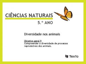 CINCIAS NATURAIS 5 ANO Diversidade nos animais Objetivo