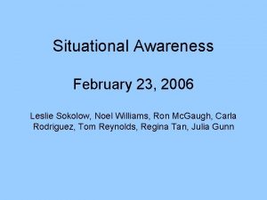 Situational Awareness February 23 2006 Leslie Sokolow Noel