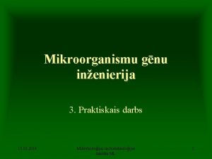 Mikroorganismu gnu inenierija 3 Praktiskais darbs 15 02