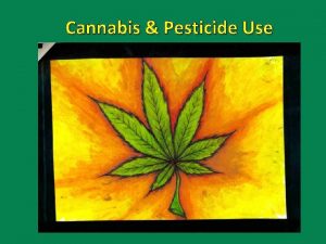 Cannabis Pesticide Use An agricultural crop Division 4