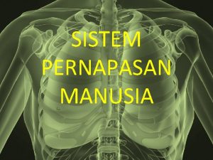 SISTEM PERNAPASAN MANUSIA PENDAHULUAN Pernapasan proses pertukaran gas