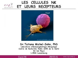 LES CELLULES NK ET LEURS RECEPTEURS Dr Tatiana